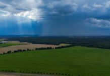 Sonne und Starkregen – Das Wetter in der Hauptstadtregion zeigt sich weiterhin wechselhaft. (Archivbild)