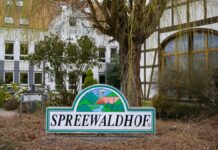 Das Unternehmen Spreewaldkonserve Golßen GmbH richtet nach Millionen-Verlusten das Geschäft mit Gurken neu aus. Ab Ende Oktober gibt es Entlassungen. (Archivfoto) 