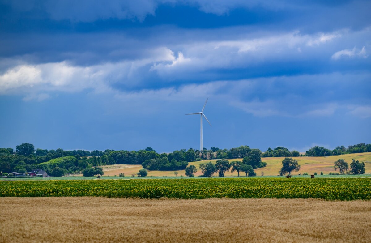 Sommerwetter im Oderbruch Dunkle Regenwolken werden gebietsweise am Wochenende erwartet. (Archivbild)