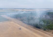 Mehr als 500 Einsatzkräfte sind wegen des Waldbrands im Einsatz. 