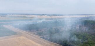 Mehr als 500 Einsatzkräfte sind wegen des Waldbrands im Einsatz. 