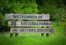 Der Nationalpark Unteres Odertal wird zum Treffpunkt junger Naturschützer. (Archivfoto)