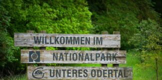 Der Nationalpark Unteres Odertal wird zum Treffpunkt junger Naturschützer. (Archivfoto)