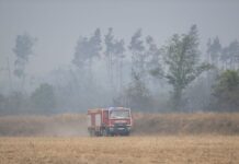 Das Feuer in der Gohrischheide war am Dienstag ausgebrochen.