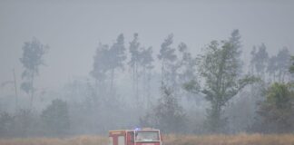 Das Feuer in der Gohrischheide war am Dienstag ausgebrochen.