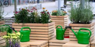 Sitzen im Schatten, Pflanzen und ein Trinkbrunnen: Das soll bei Hitze in der Öffentlichkeit helfen.