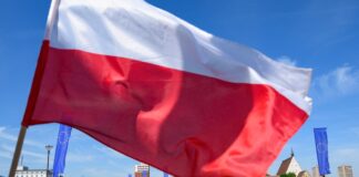 Polen beginnt ab Montag mit Grenzkontrollen zu Deutschland - das könnte zu Staus führen. Das Bundesinnenministerium will Staus durch deutsche Kontrollen vermeiden.