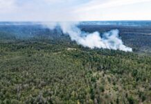 Satellitenbilder sollen das Ausmaß des Brandes zeigen. (Archivbild)