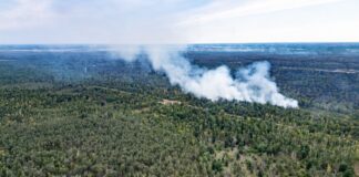 Satellitenbilder sollen das Ausmaß des Brandes zeigen. (Archivbild)