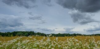 Schauer bringen in den nächsten zwei Tagen örtlich Regen, bis sich die Sonne ihre Bahn durch die Wolkendecke bricht. (Symbolbild)