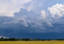 Einzelne Gewitter sollen am Montag über Brandenburg ziehen. (Archivbild)