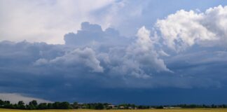 Einzelne Gewitter sollen am Montag über Brandenburg ziehen. (Archivbild)