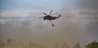 Der Brand in der Gohrischheide in Sachsen hat bisher nicht erneut auf Brandenburg übergegriffen.