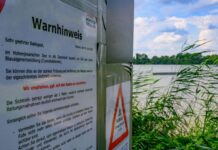 Im Hohenjesarscher See trüben Blaualgen derzeit den Badespaß.