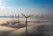 In Brandenburg wurden im ersten Halbjahr 45 neue Windenergieanlagen in Betrieb genommen. (Archivbild)