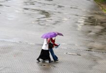 Den Regenschirm sollte man in den nächsten Tagen lieber nicht vergessen. (Symbolbild)