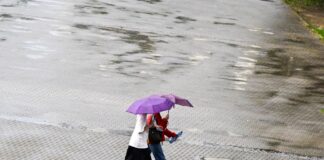 Den Regenschirm sollte man in den nächsten Tagen lieber nicht vergessen. (Symbolbild)