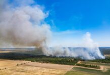 Der Waldbrand in der Gohrischheide hat sich ausgedehnt.