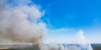 Der Waldbrand in der Gohrischheide hat sich ausgedehnt.