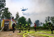 Die Feuerwehr hat die Einsatztaktik in der Gohrischheide geändert.