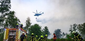 Die Feuerwehr hat die Einsatztaktik in der Gohrischheide geändert.