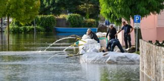 Brandenburg erlebte im vergangenen Jahr ein Hochwasser entlang der Oder. (Archivbild)