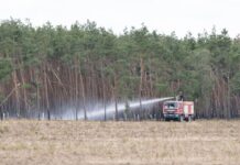 Ausreichend Regen hat die Löscharbeiten beim Waldbrand in der Gohrischheide auf die Zielgerade gebracht. 