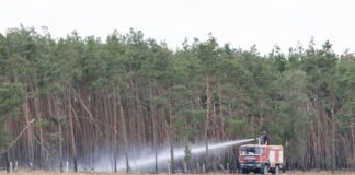 Ausreichend Regen hat die Löscharbeiten beim Waldbrand in der Gohrischheide auf die Zielgerade gebracht. 