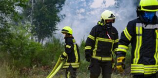 Die Zahl der im Dienst verletzten Feuerwehrkräfte ist in den vergangenen Jahren gestiegen. (Symbolbild)