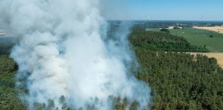 Die Zahl der Waldbrände in Brandenburg ist schon jetzt größer als 2024.