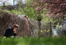 Eine Bürgerinitiative fordert unter anderem mehr Bäume für Berlin. (Archivfoto)