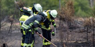 Versteckte Glutnester werden die Feuerwehrleute noch einige Tage nach dem Waldbrand auf der Saalfelder Höhe beschäftigen.