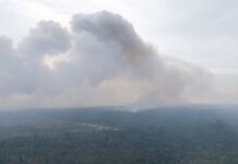 Bei dem Waldbrand in der Gohrischheide erkundet ein Hubschrauber die Brandfläche.