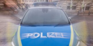 Ein Ersthelfer versuchte, die Frau zu reanimieren. (Symbolbild)