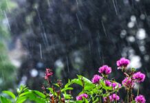 Regen und Wolken bestimmen den Sonntag – erst ab Mittwoch wird’s freundlicher. (Archivbild)