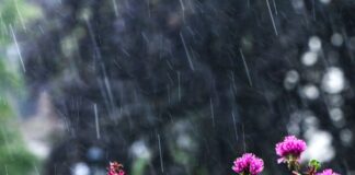 Regen und Wolken bestimmen den Sonntag – erst ab Mittwoch wird’s freundlicher. (Archivbild)