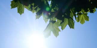 Hohe Ozonkonzentrationen treten üblicherweise bei hohen Temperaturen auf. (Symbolbild)