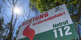 Sommer, Sonne und trockenes Wetter - auch das Waldbrandrisiko steigt wieder. (Archivbild)