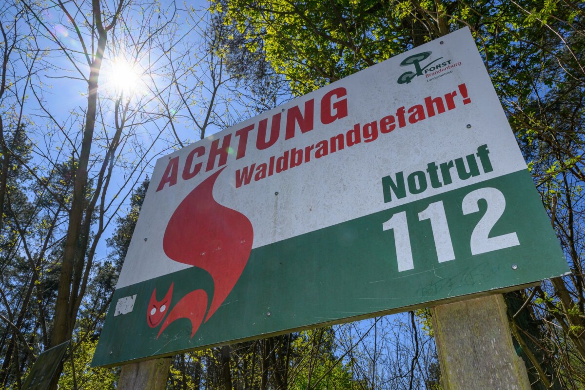 Trockene Wälder und hohe Brandgefahr in Brandenburg Sommer, Sonne und trockenes Wetter - auch das Waldbrandrisiko steigt wieder. (Archivbild)