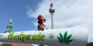 Den Teilnehmern der Hanfparade geht die Teillegalisierung von Cannabis nicht weit genug. 