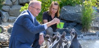 Tabbert war am Dienstag beim Paten-Pinguin des Verkehrsministeriums zu Besuch.