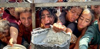 Hannover, Düsseldorf und Bonn wollen besonders schutzbedürftige und traumatisierte Kinder aus dem Gazastreifen und Israel aufnehmen. Die Linken wollen eine solche Initiative auch für Brandenburg. (Archivbild)  