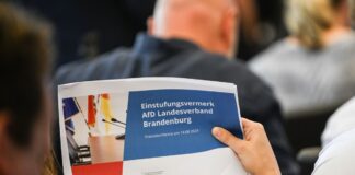 Auszüge aus dem offen gelegten Gutachten des Verfassungsschutzes zur Einstufung der AfD in Brandenburg.