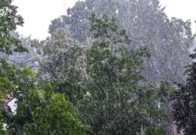Regnerisch und windig bleibt das Wetter heute in Berlin und Brandenburg – bald wird es freundlicher. (Archivbild)