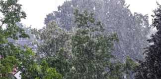 Regnerisch und windig bleibt das Wetter heute in Berlin und Brandenburg – bald wird es freundlicher. (Archivbild)