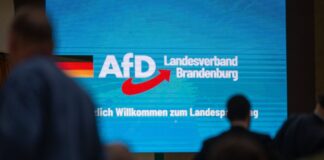 Der Verfassungsschutz hat die AfD Brandenburg als gesichert rechtsextremistisch eingestuft. (Archivbild)