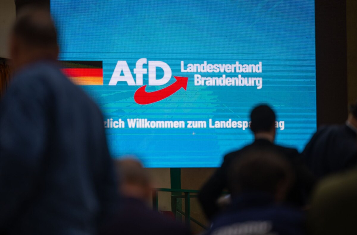 Ministerium: AfD Brandenburg gesichert rechtsextremistisch Der Verfassungsschutz hat die AfD Brandenburg als gesichert rechtsextremistisch eingestuft. (Archivbild)