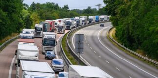 Lastwagen stauen sich auf der Autobahn 12 bei Frankfurt (Oder) vor der Grenze zu Polen - die Grenzkontrollen bremsen den Verkehr. (Archivbild)