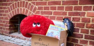 Kuscheltiere und Bücher landen gelegentlich in Verschenk-Boxen auf dem Gehweg. (Symbolbild)