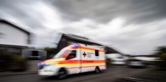 Eine vermisste alte Frau wurde tot in der Nähe von Nauen gefunden.